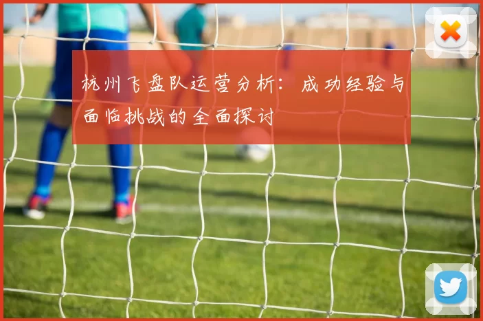 杭州飞盘队运营分析：成功经验与面临挑战的全面探讨