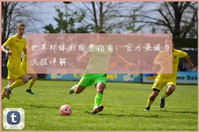 世界杯体彩购票指南,官方渠道与流程详解