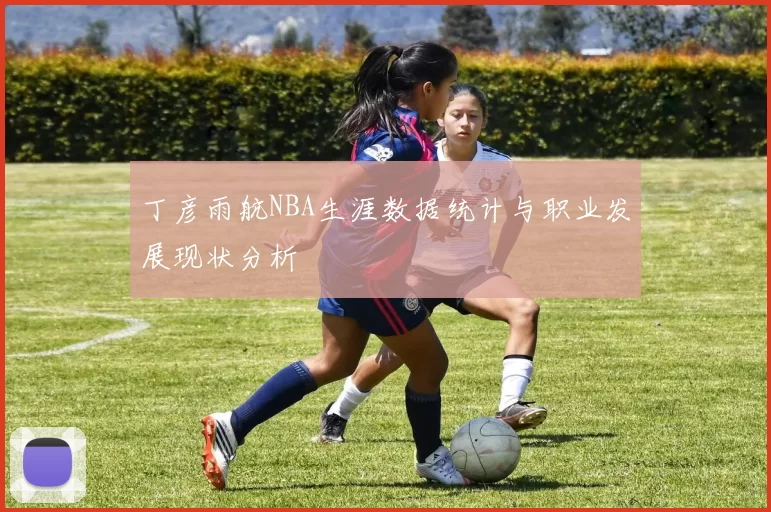 丁彦雨航NBA生涯数据统计与职业发展现状分析