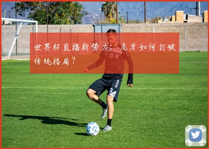 世界杯直播新势力：虎牙如何打破传统格局？