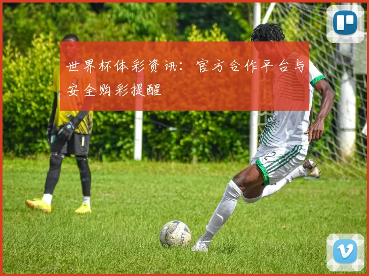 世界杯体彩资讯：官方合作平台与安全购彩提醒