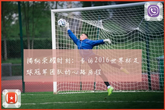 揭秘荣耀时刻:专访2016世界杯足球冠军团队的心路历程
